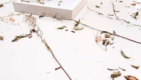 Nella luce sottile dell’immagine: il ritorno al disegno di Luca Piovaccari