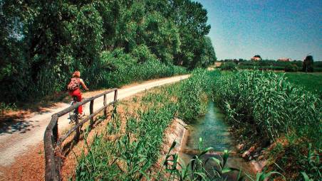 Verucchio. Caccia vietata presso la ciclabile del Marecchia