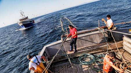 La pesca “a volante” è sempre meno praticata: oggi sono tre le coppie di barche a farla, contro le 5 dei primi anni 2000