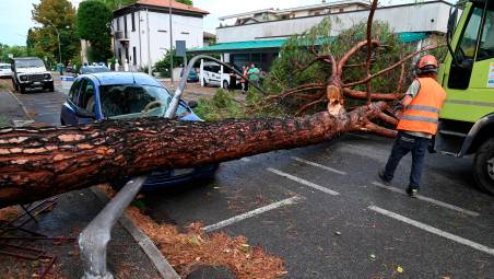 Nubifragio a Forlì: una strage di alberi e rami caduti, chiusi parchi e giardini pubblici FOTOGALLERY