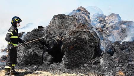 Coriano, rotoballe a fuoco, gregge di pecore salvato dai vigili del fuoco