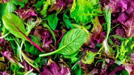 Un mosaico di colori e sapori, il mesclun gioia per occhi e palato