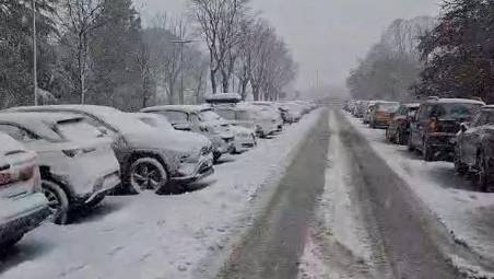 Neve a Forlì, l’assessore Petetta: “Situazione sotto controllo”