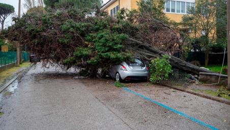 Auto schiacciata da un albero in via Cesare Battisti (Foto Massimo Fiorentini)
