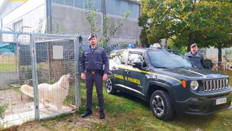 Le attività si svolgevano a Misano e Montefiore Conca