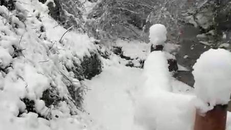 Meteo Romagna, l’Appennino imbiancato: oltre mezzo metro di neve sopra gli 800 metri VIDEO