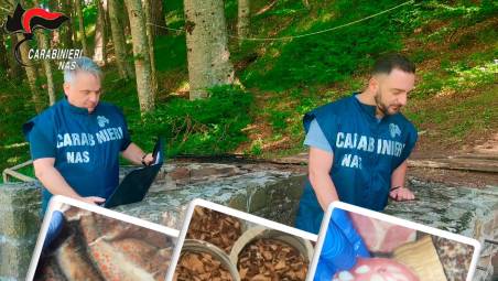 Roditori, merce scaduta, animali sul piano di lavoro: rifugi dell’Appennino emiliano-romagnolo bocciati dai Nas, sospese 4 attività di ristoro