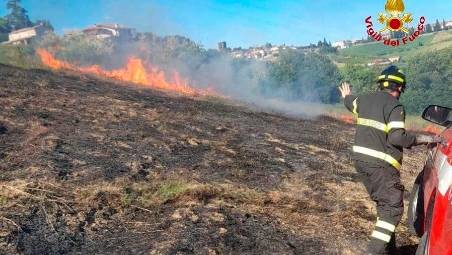 Longiano, incendio in un campo agricolo