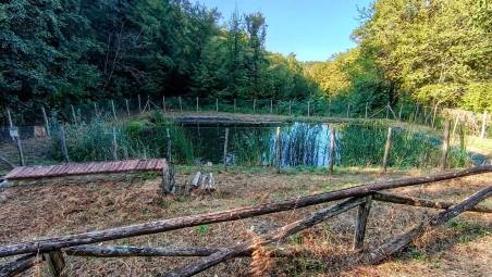 Nel Brisighellese un comparto montano da valorizzare: percorsi trekking, rifugio, antica fontana, laghetto