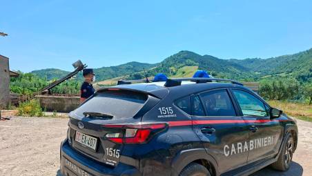 Brisighella, sanzionato allevamento di conigli, 15 carcasse in avanzato stato di decomposizione