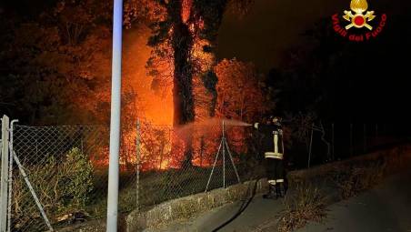 Forlì, un fulmine innesca un incendio nel parco: intervengono i Vigili del Fuoco