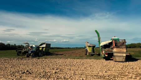 Caldo record in Romagna: orari all’alba, pause e ombra per i 600 lavoratori delle Cooperative Agricole