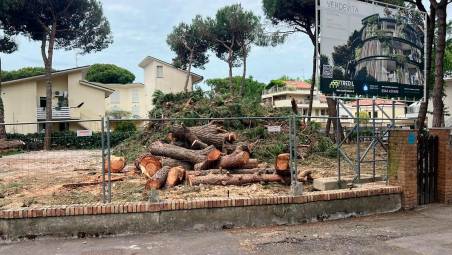 Cervia, abbattuti alberi per far posto a un condominio