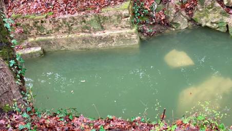 L’acqua del rio dopo la prima ripulitura con ancora qualche traccia del colore (foto scattata dl comitato amici del parco)