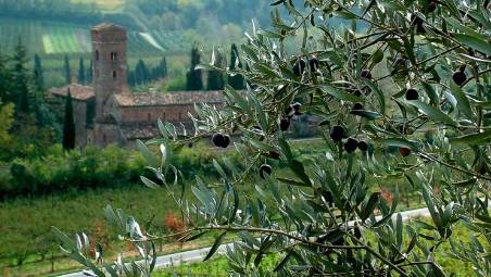 Brisighella, iniziativa domenicale per la valorizzazione dell’Olio Dop