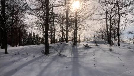 Meteo Romagna, la neve in Appennino ha i giorni contati: temperature in rialzo