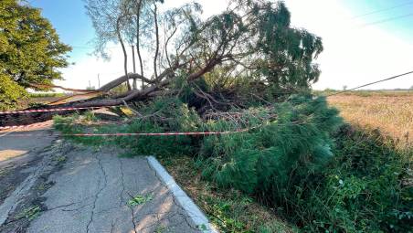 Maltempo a Castel Guelfo, danni ingenti ma situazione tornata alla normalità