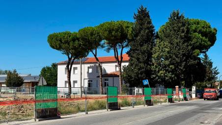 La zona dove è in programma l’intervento, con i grandi alberi nel mirino