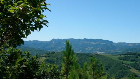 Meteo in Romagna, lunedì allerta gialla per vento sull’Appennino