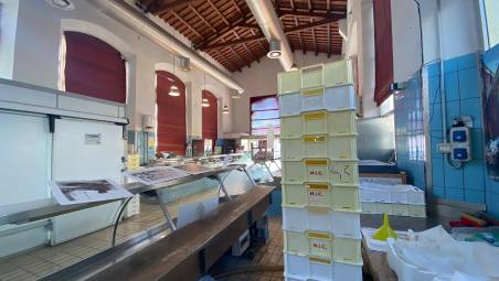 La pescheria di Cesenatico (Zanotti)