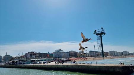 Riccione, dragaggio del porto canale: balneazione vietata per due giorni e mezzo