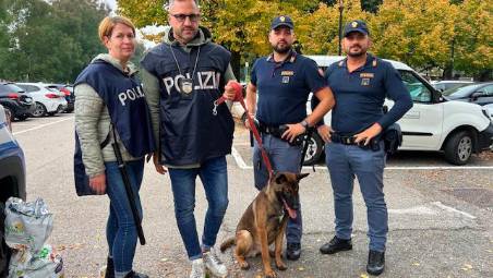Cuccioli senza cibo e acqua in mezzo a rifiuti ed escrementi, denunciato un 21enne a Bologna