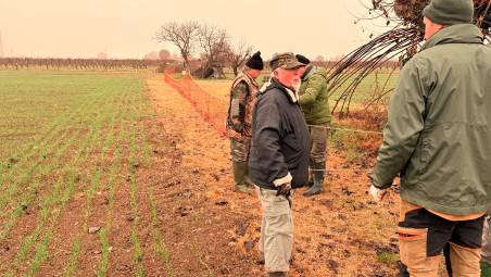 La cattura delle lepri