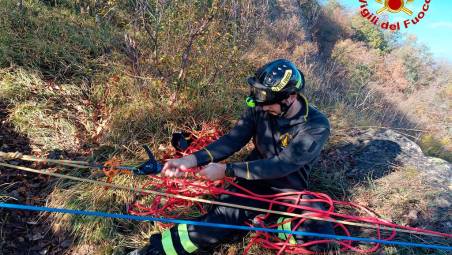 Valmarecchia. Cane precipita in un dirupo sul monte Pincio: salvato dai vigili del fuoco dopo 4 ore