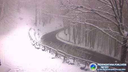La webcam di questa mattina a Campigna allo chalet Burraia (foto Meteo Pedemontana Forlivese)