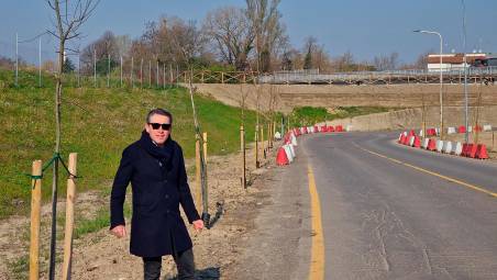 Faenza, piantati 382 nuovi alberi. Ecco dove saranno messi a dimora i prossimi