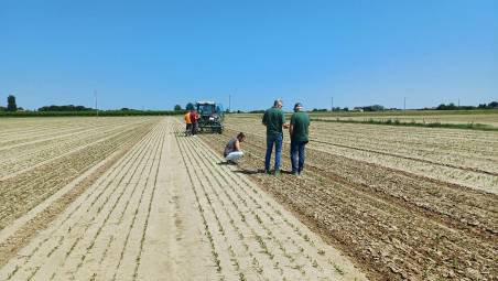 Cesena, meno chimica nel campo: il nuovo progetto targato Ri.Nova
