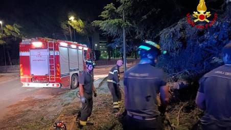 Bufera nel forlivese: nella notte 70 interventi dei Vigili del Fuoco VIDEO