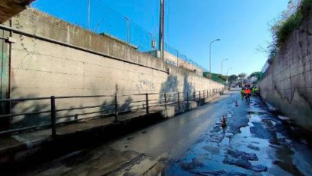 Cervia, travolta da auto pirata, morì 6 mesi dopo. Il medico legale: «Incidente decisivo»