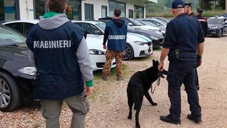 I carabinieri durante la perquisizione con il cane antidroga Bob