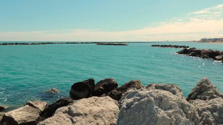 Bellaria Igea Marina ridisegna il futuro marittimo: dal “nuovo” Mercato Ittico alla sfida Bolkestein