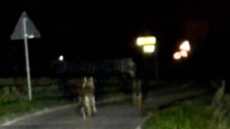 Foto dalla pagina Facebook “Quelli del Cervese sud”