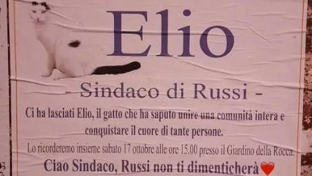 Ravenna, morto il “gatto sindaco” di Russi. Manifesti a lutto per Elio, oggi i funerali del micio adottato dalla città