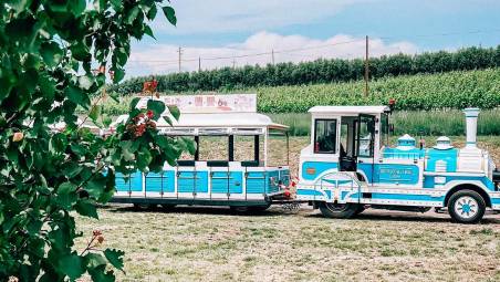 Degustazioni itineranti a Oriolo dei Fichi con il Trat-Tour