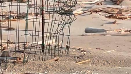 Un frame del video pubblicato da Sottomarino 54