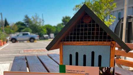 Riccione, un nuovo “Bee Hotel” per api e insetti impollinatori per la Giornata della Terra