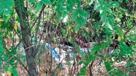 I giacigli tra le frasche e la sporcizia diffusa