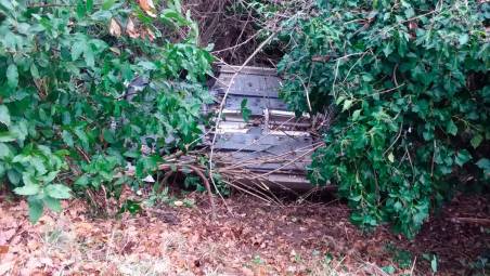 L’auto capottata tra la vegetazione