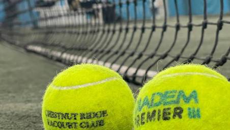 Tennis, i quattro semifinalisti al Maretennis