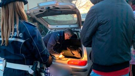 Savignano, sorpreso con le dosi di cocaina in auto: 32enne denunciato per spaccio