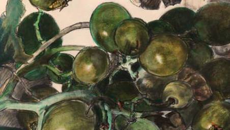 Imola. Al Museo San Domenico la mostra “Natura in posa. Le stagioni di Wolfango”