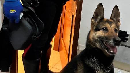Forlì, controllo con il cane One: arrestato con hashish e cocaina