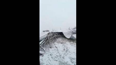 Forlì, il maltempo distrugge gli impianti dell’azienda agricola: danno da mezzo milione di euro VIDEO