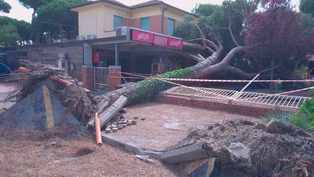 Maltempo a Cervia: caduti 265 alberi nelle aree pubbliche, in alcune zone manca l’acqua