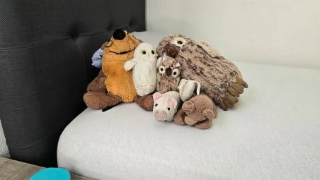 Alcuni dei peluche