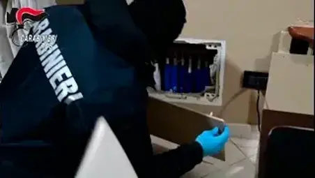 Propaganda neonazista: un arresto a Brescia e un indagato nella riviera cesenate VIDEO